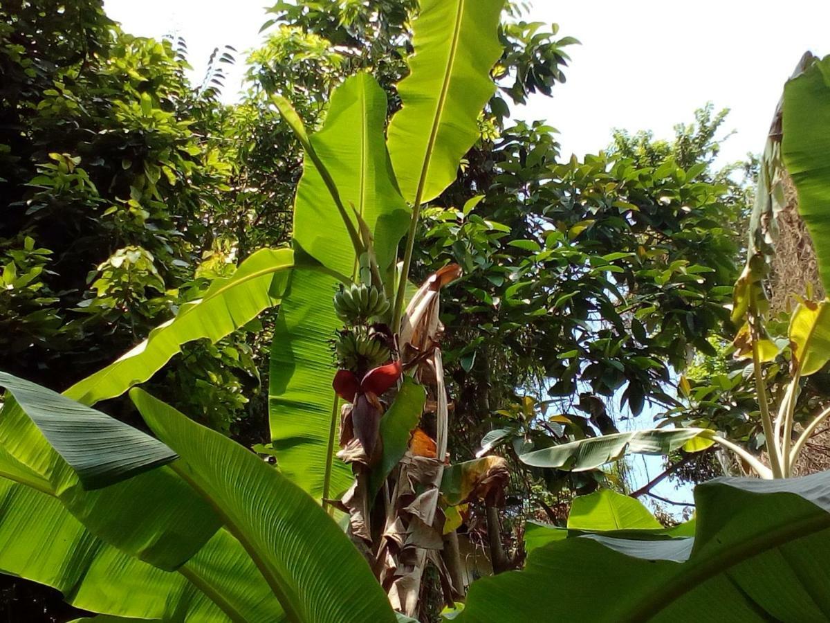 Bamboo Bay Hotel Baan Baan Srithanu Zewnętrze zdjęcie